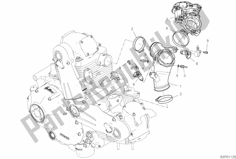 All parts for the Throttle Body of the Ducati Scrambler 1100 Thailand 2019